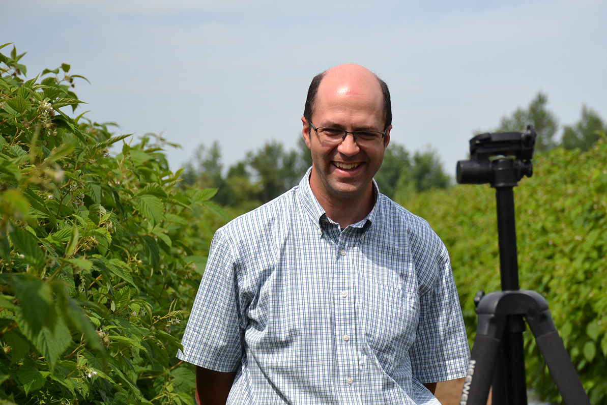 Raspberry traits assigned values - Country Life in BC