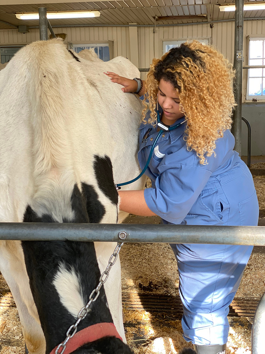 Vet shortage persists - Country Life in BC